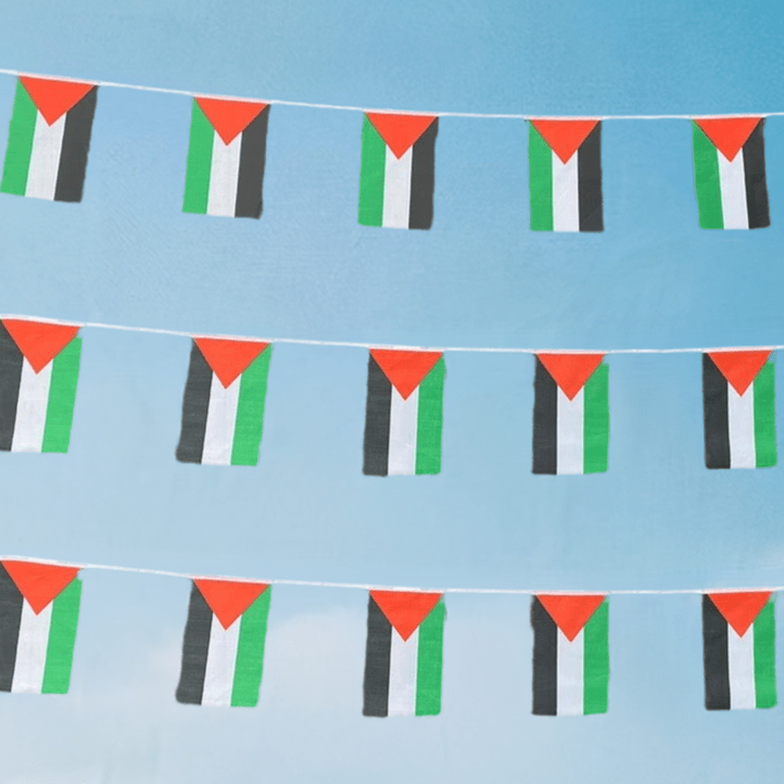 Palestine Flag