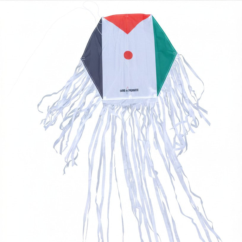 Hexagon Palestine Kite