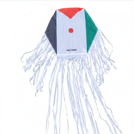 Hexagon Palestine Kite
